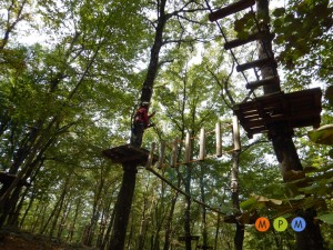 Corso percorsi acrobatici(6)